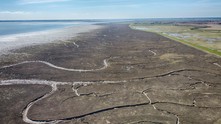 Frieston Shore Nature Reserve.jpg